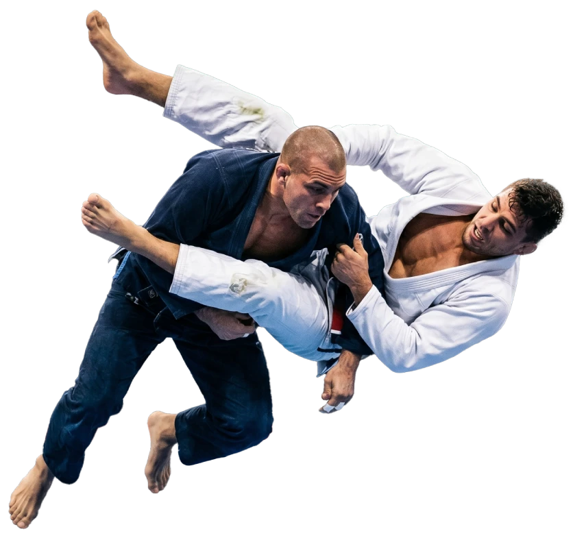 BJJ Classes Near Me in Tampa
